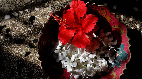 與眾不同的香味