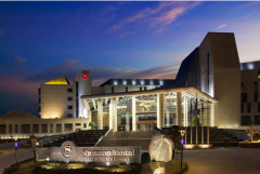 ���_��ɳ��ϲ���ǶȼپƵ�