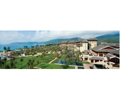 ��ï������������˼�����D�Ƶ�