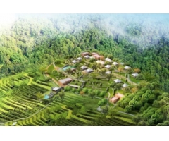 康藤·紅河谷帳篷營地