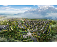 �������γ�