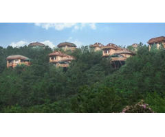 常州嬉戲谷云中部落樹屋