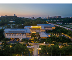 南宁荔园维景国际大酒店