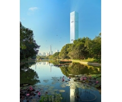 �������A�|���Ƶ�